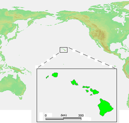 Carte des États-Unis avec le Hawaï  Hawaii en rouge.