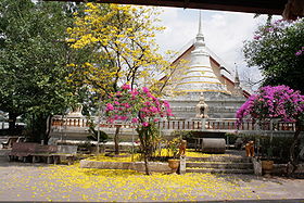Stûpa au Wat Upanantaram de Ranong, mars 2008
