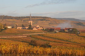 Blienschwiller et son vignoble en automne. Derrière le village, le grand cru Winzenberg.