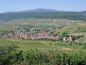 Vue de Westhalten depuis le Schlossberg