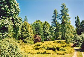 Image illustrative de l'article Arboretum national des Barres