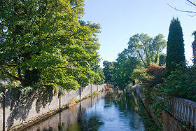 Clareen River, Athenry