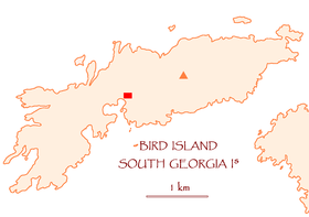 Carte de l'île Bird et du sommet Roché Peak (triangle rouge)