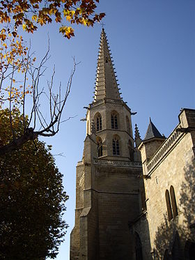 Image illustrative de l'article Ancienne cathédrale Saint-Maurice de Mirepoix