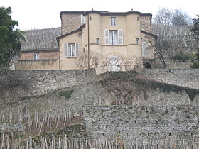 Image illustrative de l'article Château-Grillet (château)