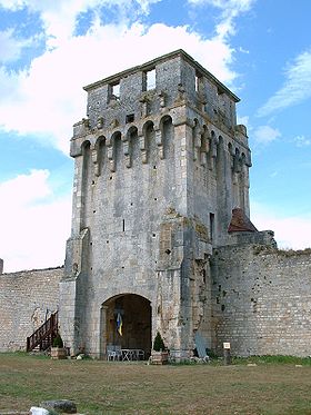 Image illustrative de l'article Château de Druyes