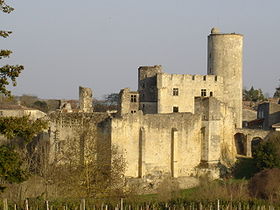 Le château (fév. 2008)