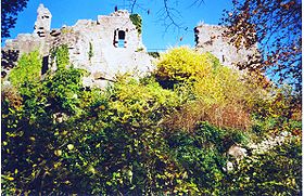 Ruine du château de Frankenbourg