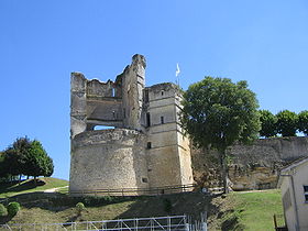 Les ruines du donjon de Montguyon