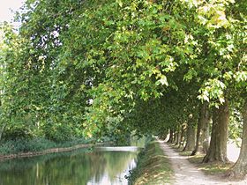Le canal d'Orléans à Chécy.