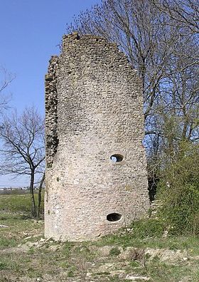 Ruines du château de Créhange