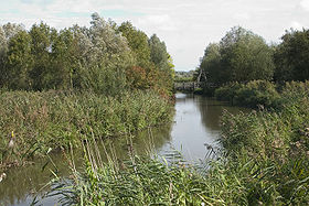 Image illustrative de l'article Réserve naturelle nationale des étangs du Romelaëre