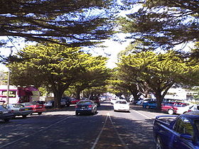 Une rue de Cowes bordée de cyprès dorés