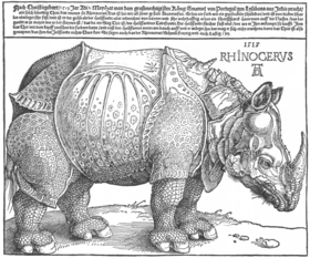 Image illustrative de l'article Rhinocéros de Dürer
