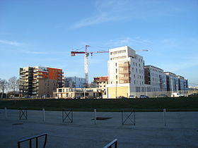 Immeubles des deux-lions, le 6 février 2011, vus depuis l'Heure Tranquille.
