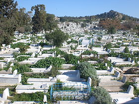 Vue d'une partie du cimetière du Djellaz