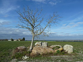 Le dolmen vu en direction du nord-ouest