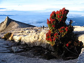 Image illustrative de l'article Parc national du Kinabalu