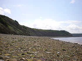 Image illustrative de l'article Falaises fossilifères de Joggins