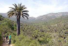 Image illustrative de l'article Parc national La Campana