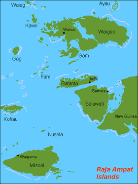 Carte des îles Raja Ampat.
