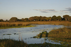 Image illustrative de l'article Parc national de Katavi