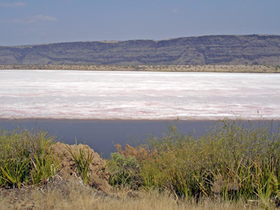 Une vue du lac Magadi