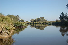 Image illustrative de l'article Parc naturel régional de Brière