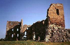 Ruines du chateau