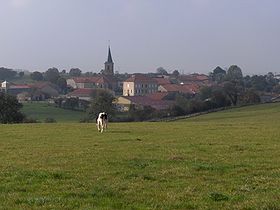 Vue sur le village en arrivant de Gondrecourt-le-Château