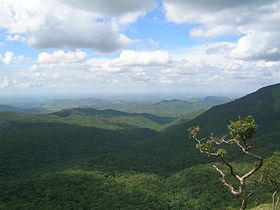 Image illustrative de l'article Parc national de Mudumalai