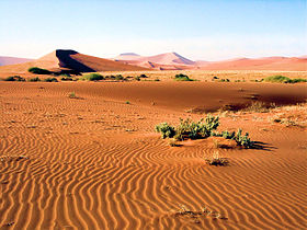 Image illustrative de l'article Parc national de Namib-Naukluft