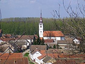 Vue de Neštin, avec l'église des Saints-Côme-et-Damien