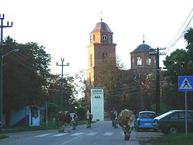 Une rue dans le village de Veliko Središte, avec l'église orthodoxe