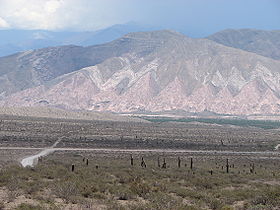 Image illustrative de l'article Parc national Los Cardones