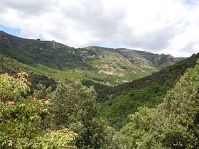 Image illustrative de l'article Plateau de Montselgues