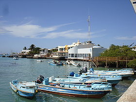 Puerto Ayora harbor.jpg