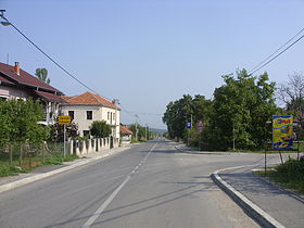 Une rue à Ribare