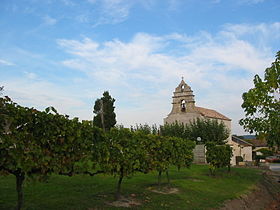 Saint-Nexans : vignes et église