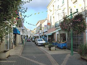 La rue Carnot, axe piétonnier du centre-ville