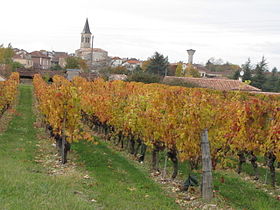 Vue générale et du vignoble de Cahors