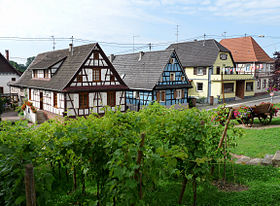 Maisons à colombages et vignes à flanc de terrasse