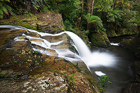 Spout Falls, Liffey, Tasmania.jpg