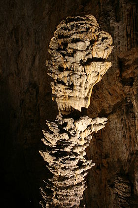 Image illustrative de l'article Grotta Gigante