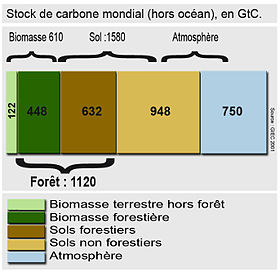 Stock de carbone dans le monde (hors océans), selon le GIEC (2001[2])