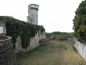 Image illustrative de l'article Château de Taillebourg