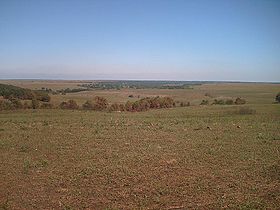 Image illustrative de l'article Tallgrass Prairie Preserve