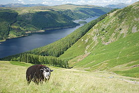 Image illustrative de l'article Parc national du Lake District