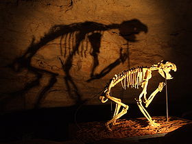 Image illustrative de l'article Parc national de Naracoorte Caves