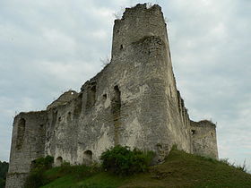 Image illustrative de l'article Château de Sydoriv